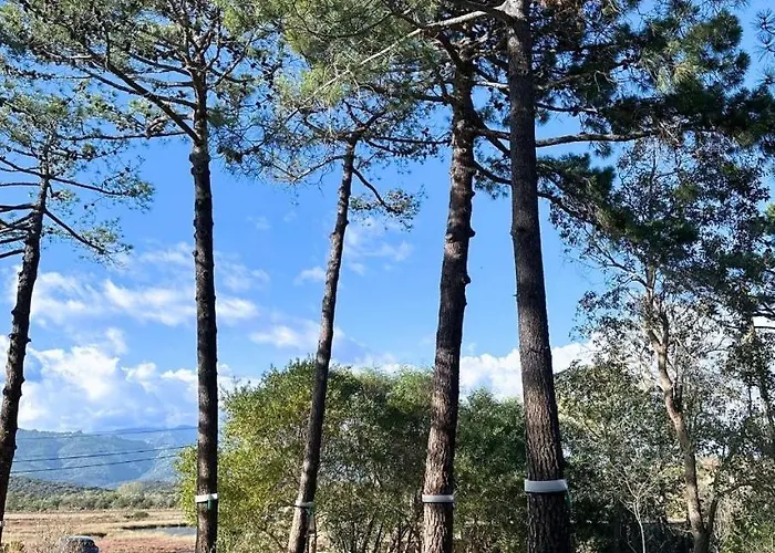 Willa Benedettu, Beachfront Porto Vecchio
