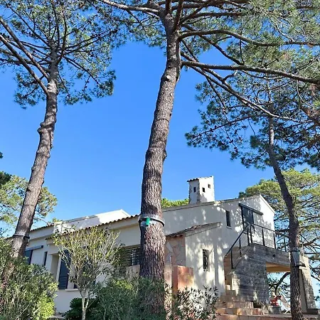 Benedettu, Beachfront Porto Vecchio ヴィラ レクシ