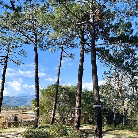 ヴィラ Benedettu, Beachfront Porto Vecchio